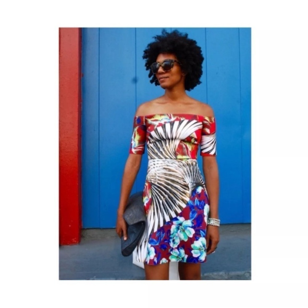 Clover Canyon Neoprene Floral Wallpaper Dress